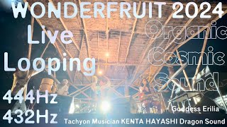 Live Looping 444Hz at Wonderfruit Tachyon Musician KENTA HAYASHI \u0026 Dragon Sound \u0026 Goddess Erilia