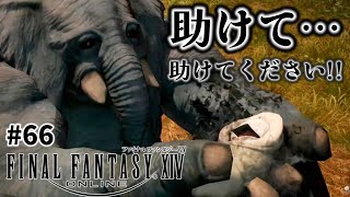 【FF14】#66  助けて…この子を助けてあげてください…！！-暁月のフィナーレ-  【完全初見】