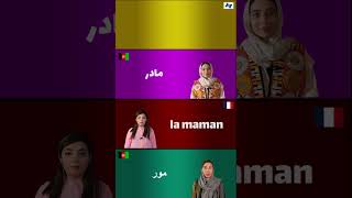 مامان | دری ،پشتو ، فرانسوی و زبان اشاره #france