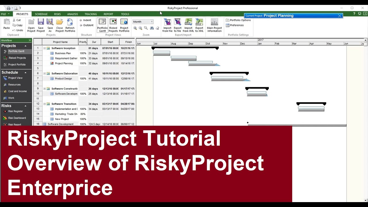 Riskyproject Enterprise Tutorial Overview Of Riskyproject Enterprise