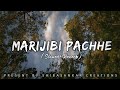 Marijibi Pache [slowed + reverb] || Odia Lofi || Humane Sagar || Odia Lofi Song