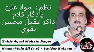 Nazm: Mola Ali (a.s) - Yadgar Kalaam || Zakir Aqeel Mohsin Naqvi