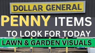 How To Find The Penny Items This Week At Dollar General and Lawn and Garden Visuals