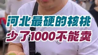 河北最硬的核桃，少了1000不能卖 潘家园核桃王 文玩核桃 青皮核桃 蛤蟆头 万物皆可盘 @DOU+小助手 @抖音小助手