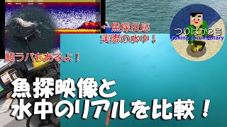 #114 魚探反応と水中のリアルを比較検証！