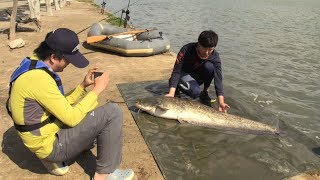 #264 【PART1】情熱のスペインで挑む怪魚ハンティング～カタルーニャの水郷に息づくオオナマズ～