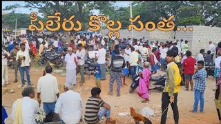 పీలేరు కోళ్ల సంత... పీలేరు కోళ్ల సంత...#జంతువులు