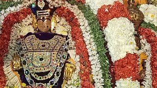 திருவொற்றியூர் அருள்மிகு    தியாகராஜசுவாமி 5 ம் பவனி 1 1 .2.2022