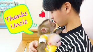 Baby monkey Poki and Pupu trusts and loves his uncle!