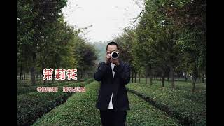 《茉莉花》（中国民歌）演唱:赵鹏