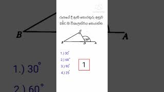 ත්‍රිකෝණ / ප්‍රමේයයන් 😀🎓  #maths #viral #shorts