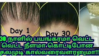 இந்ததண்ணிபோதும்30நாளில்புதுமுடிவளரும் நரைமுடி கருமையாகும்/hair growth