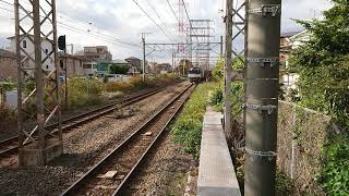 11月9日小田栄駅 愛知A5運用 3064レ  EF64-1042 貨物色 牛乳パック