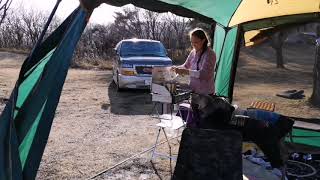 【犬と旅行】双子のワイマラナーと毎年始の富士山