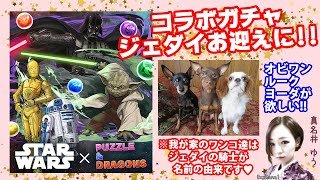 パズドラ【STAR WARS】コラボガチャ♥オビ・ルーク・ヨーダが欲しい♥