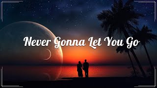 Never Gonna Let You Go (Lyrics)