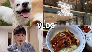 「vlog」첫 얼굴공개 냅다까리 쌩얼 보여주는 유투바✨/요리브이로그/자취브이로그/쭈꾸미삼겹살 콘치즈/장어덮밥 차완무시/낙지볶음/콩불 계란찜/비빔국수/불족발 계란볶음밥/애슐리혼밥