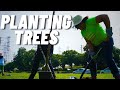 How to Plant Trees, Arbor Day Tree Planting (Feat. Don Hodel)