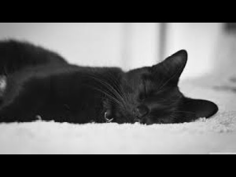 Beating Extreme Demons In Geometry Dash Youtube