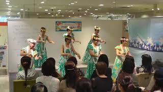 フラダンスショー　in Things Hawaiian 13