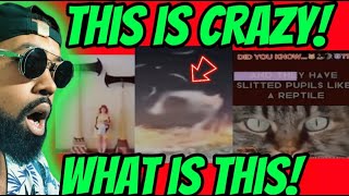 Most Disturbing Videos Breaking The Internet Today!