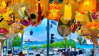 [4K SEOUL] 웃으며 즐거워하는 외국인들이 더 많은 축제의 거리 | Street festival enjoyed by many people after a long time