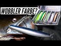 Nachtangeln mit Wobbler.  Welche Farbe fängt? : ZANDER