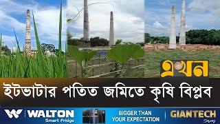 বছরের ৬ মাস ফসল ফলাচ্ছেন ভাটা মালিকরা | Chuadanga News | Ekhon TV