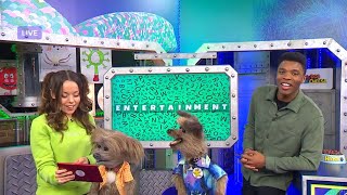 CBBC AFTERNOON LIVE LINK 4 DODGE GUEST APPEARANCE + NEW IDENT - 15TH MARCH 2023