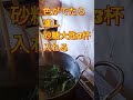 【青紫蘇ジュース】健康ドリンクの簡単な作り方　 shorts 　 cooking