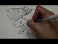 Day 154 365 Days of Art Fish Continous Line Drawing | Erica Joaquin