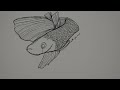 Day 154 365 Days of Art Fish Continous Line Drawing | Erica Joaquin