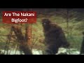 The Legend Of The Nakani | The MONSTER That Haunted The Dene People