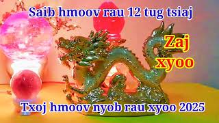 SAIB HMOOV | Zaj xyoo txoj koobhmoov nyob rau xyoo 2025