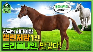 [씨수말투어3] 챌린저팜 트리플나인, 올드패션드!