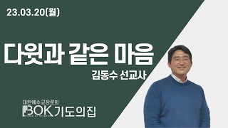 [2023.03.20 월] 다윗과 같음 마음 - 김동수 선교사