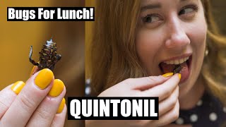Bugs For Lunch at Quintonil – World’s 50 Best Chef Jorge Vallejo! (CDMX Part 2)