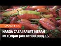 Cuaca Ekstrem, Harga Cabai Juga Naik Ekstrem! Tembus Rp100 Ribu Per Kg | Liputan 6