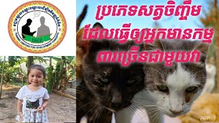 អត្ថប្រយោជន៍វីដេអូyoutubeនិយាយពី រឿងរ៉ាវអបិយជំនឿ និងមន្តអាគមរបស់ខ្មែរពីសម័យដើម។ By TDCC Center។