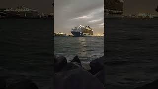 🧲🛳️📯🌇#1 Horns, Allure of the Seas,1/16/22 Fort Lauderdale Departure