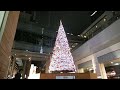 dscf4826クリスマス20141211日本テレビ 世界の果てまでイッテＱツリー