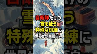 自衛隊だけの雪を使う\