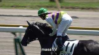 【４Ｋ現地撮影】２０１９年８月４日新潟競馬４Ｒニシノモエ＆藤田菜七子騎手６着