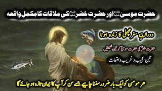 Hazrat Musa as aur Hazrat Khizar as Ki Mulaqaat Ka Waqiya | Islamic Stories | Islamic LifeCycle