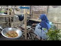 HIDUP DI DESA memasak pindang tahu santan dan kulupan daun singkong daun pepaya .