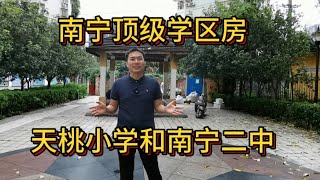 南宁顶级学校组合，天桃小学和南宁二中，南湖公园一百米，电梯3房，让小孩赢在起跑线上