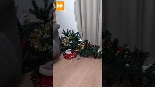 クリスマスにツリーを倒した犯人は◯◯◯だった　#Xmas