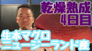 ニュージーランド産生本マグロ乾燥熟成4日目を食べてみました🤤#魚の捌き方#熟成#釣り#津本式#マグロ