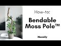 How To Use The Original Bendable Moss Pole™ (2022 Update)