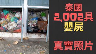 鬼嬰廟 / 嬰屍 2,002具嬰兒屍體在泰國寺廟的真實恐怖事件 【官能世界】